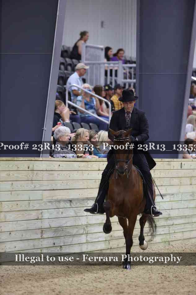 Proof Number 23R13_13353