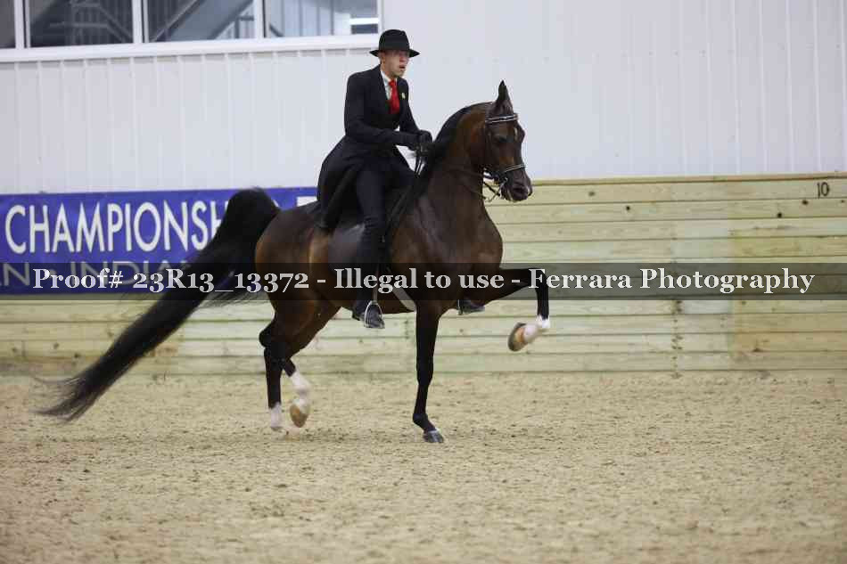 Proof Number 23R13_13372
