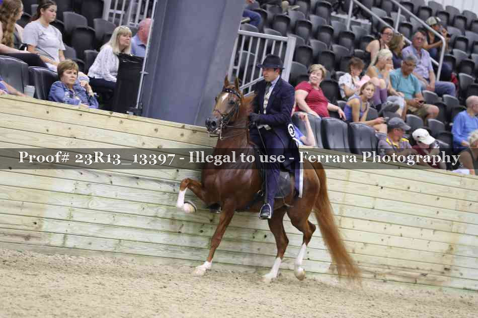 Proof Number 23R13_13397