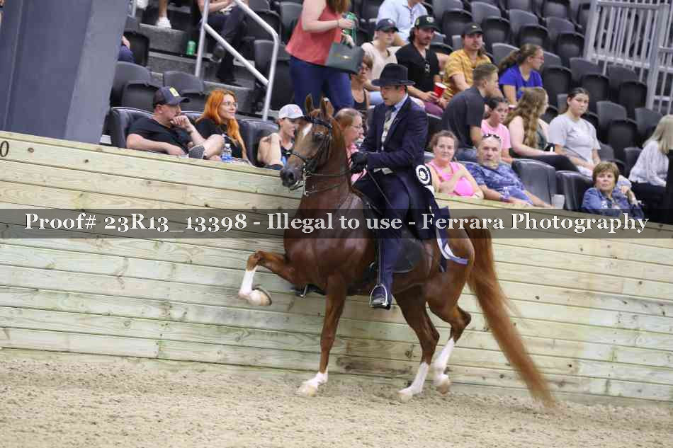 Proof Number 23R13_13398