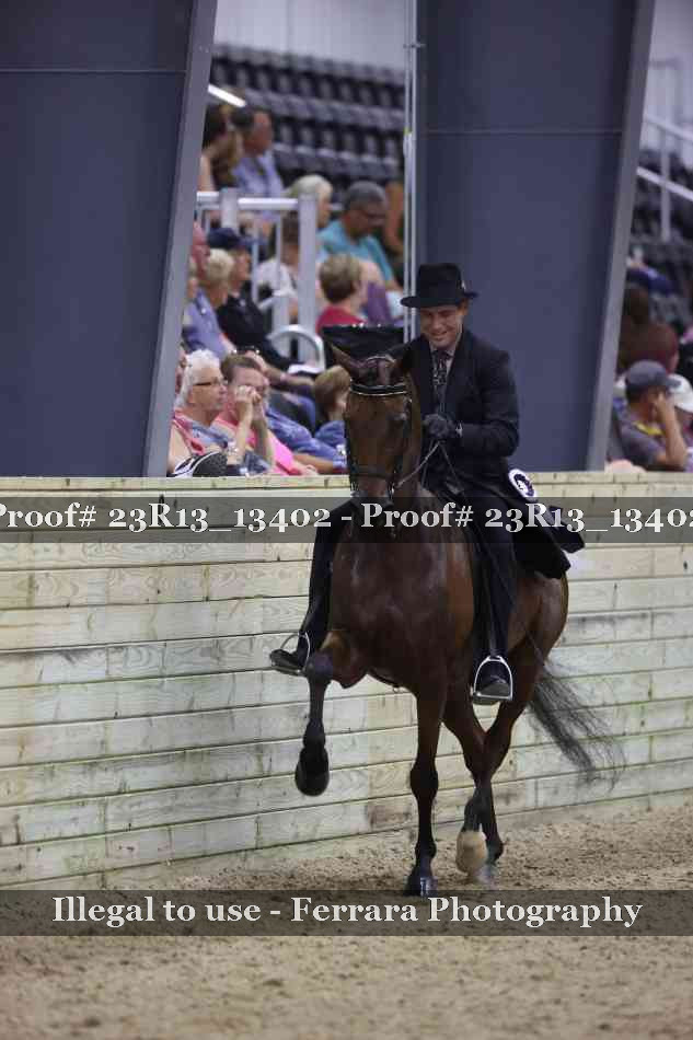 Proof Number 23R13_13402