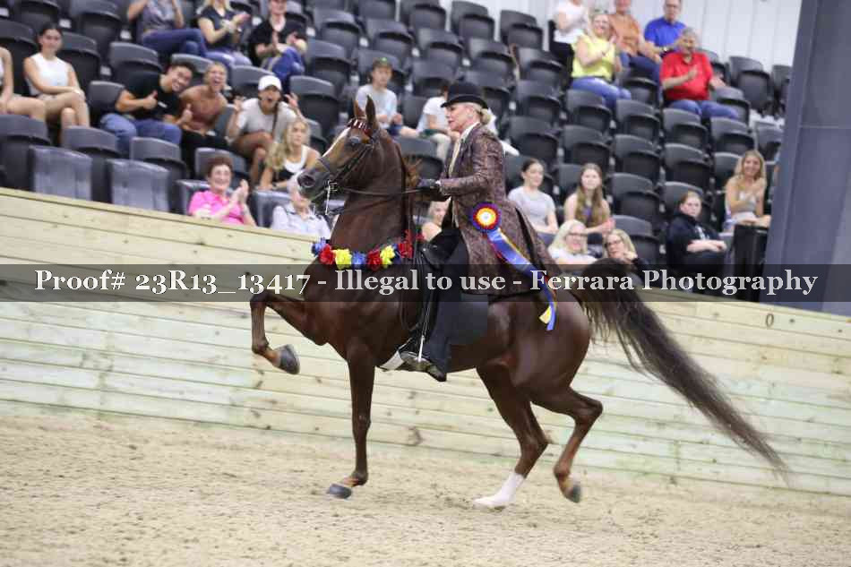 Proof Number 23R13_13417