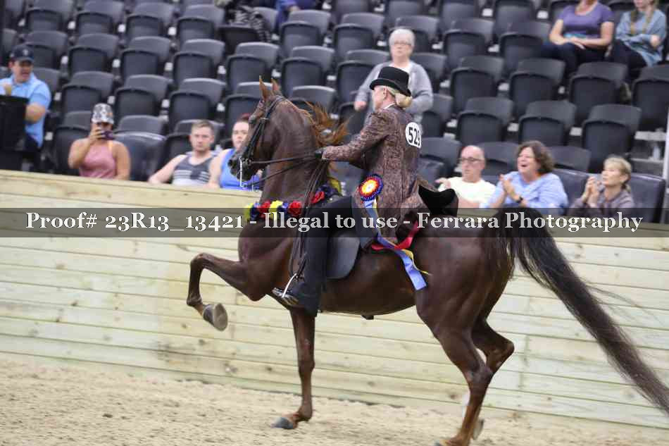 Proof Number 23R13_13421