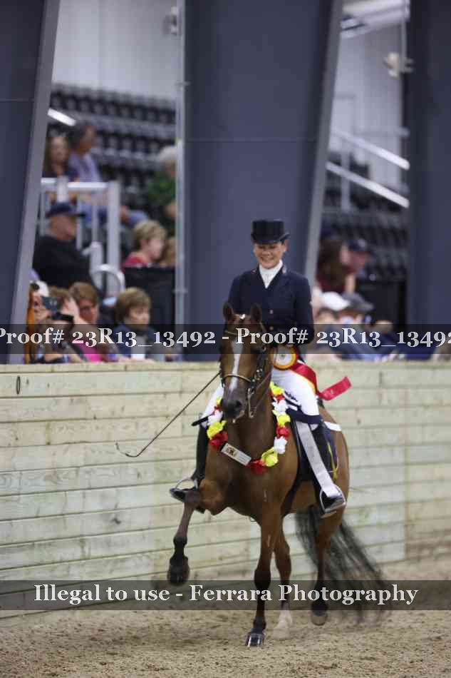 Proof Number 23R13_13492