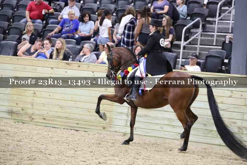 Proof Number 23R13_13493