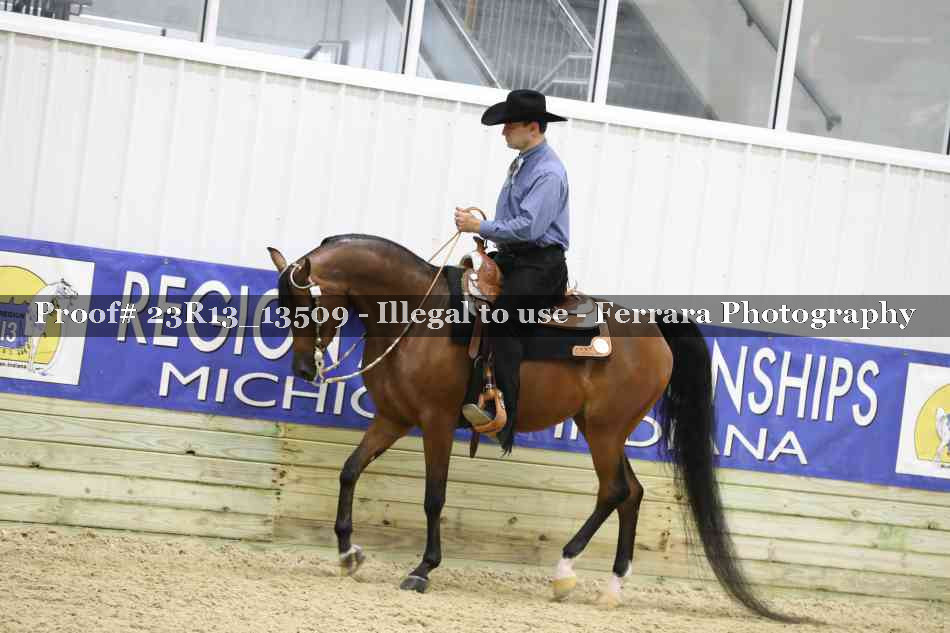 Proof Number 23R13_13509