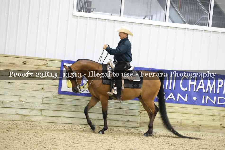Proof Number 23R13_13513
