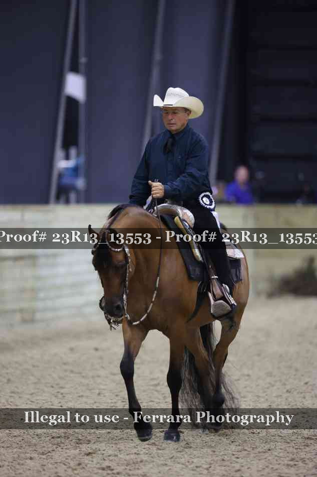 Proof Number 23R13_13553