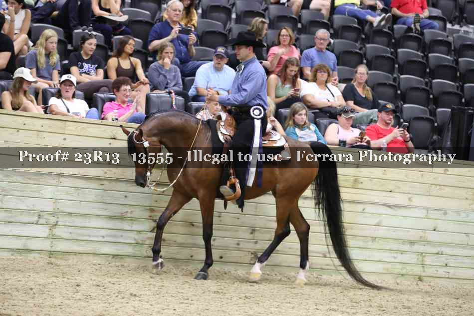 Proof Number 23R13_13555