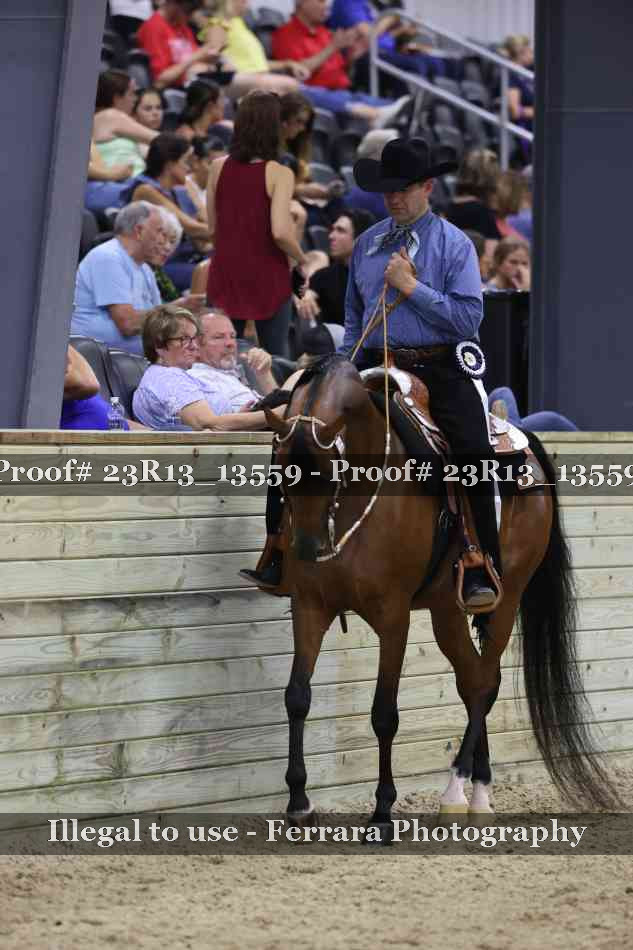 Proof Number 23R13_13559