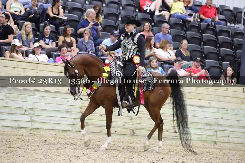 Proof Number 23R13_13566
