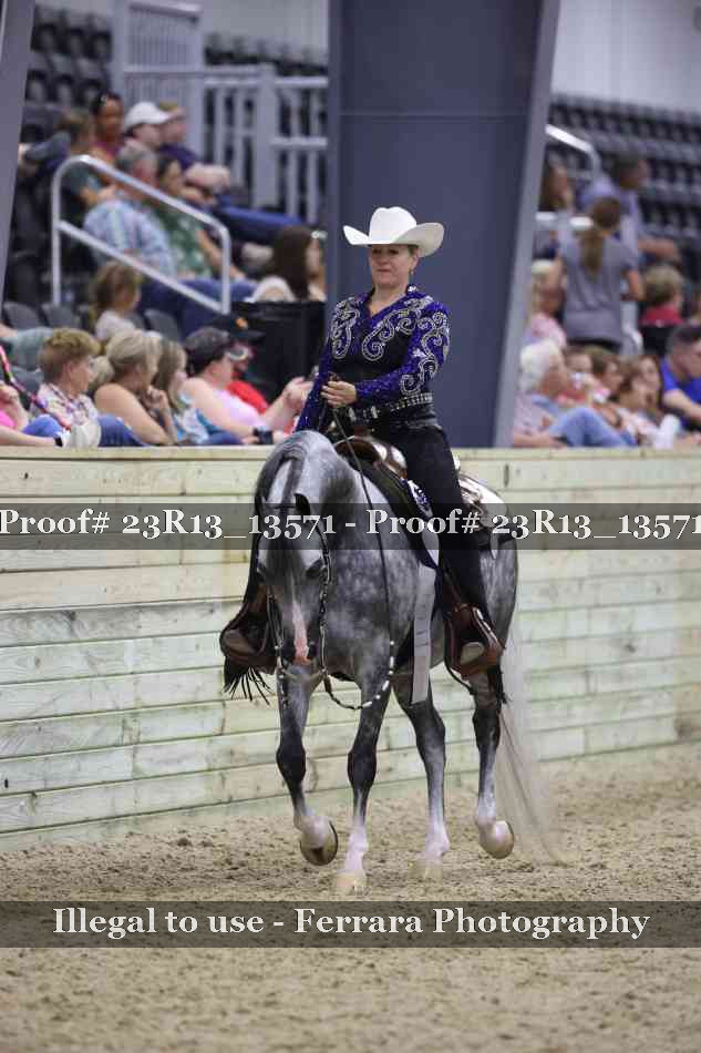 Proof Number 23R13_13571