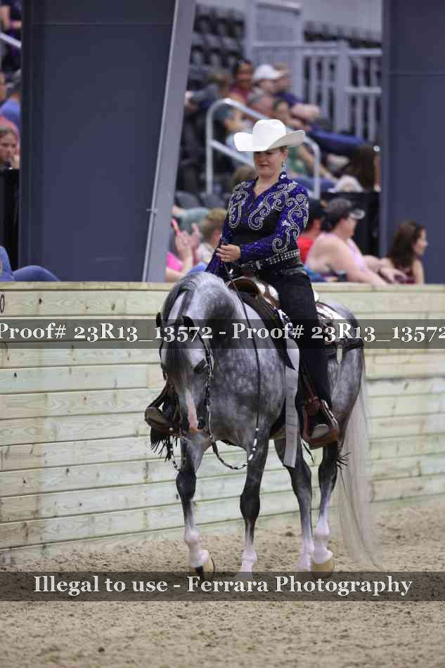 Proof Number 23R13_13572