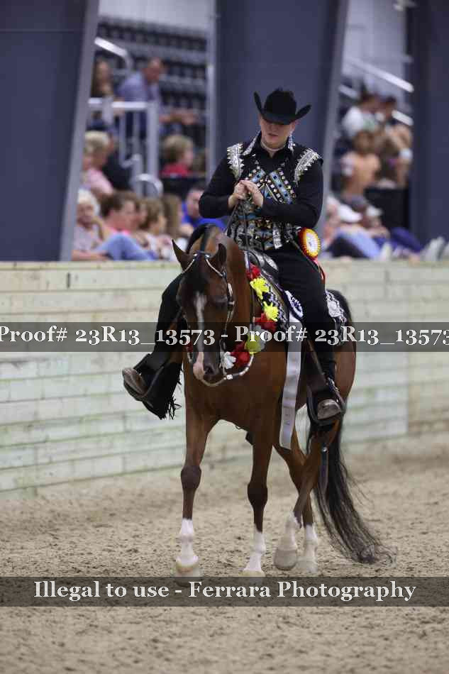 Proof Number 23R13_13573