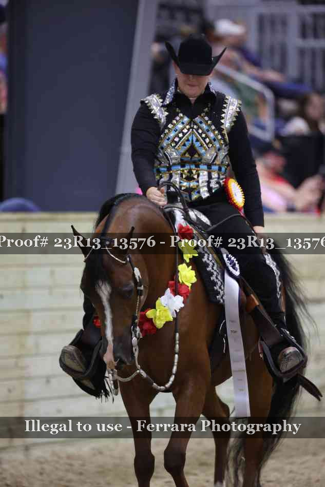 Proof Number 23R13_13576