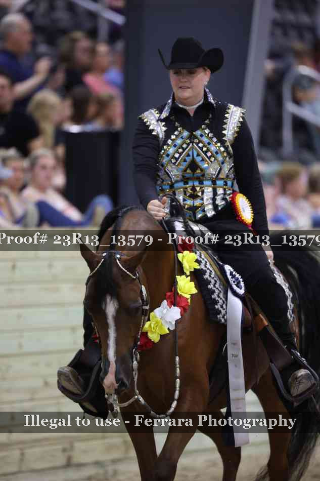 Proof Number 23R13_13579