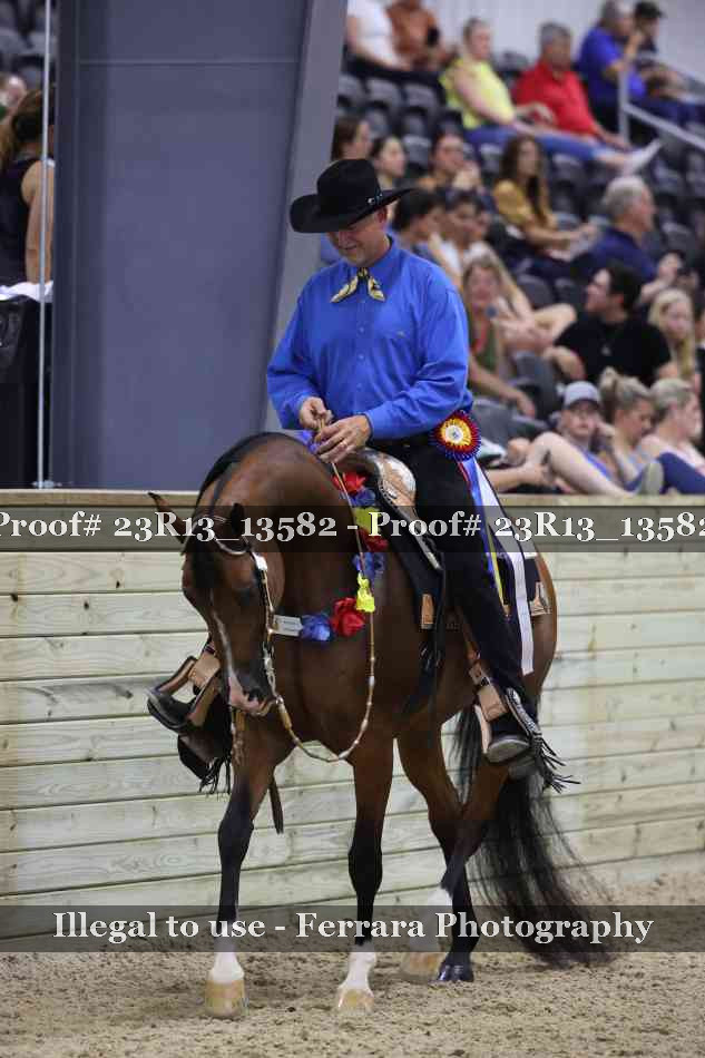 Proof Number 23R13_13582