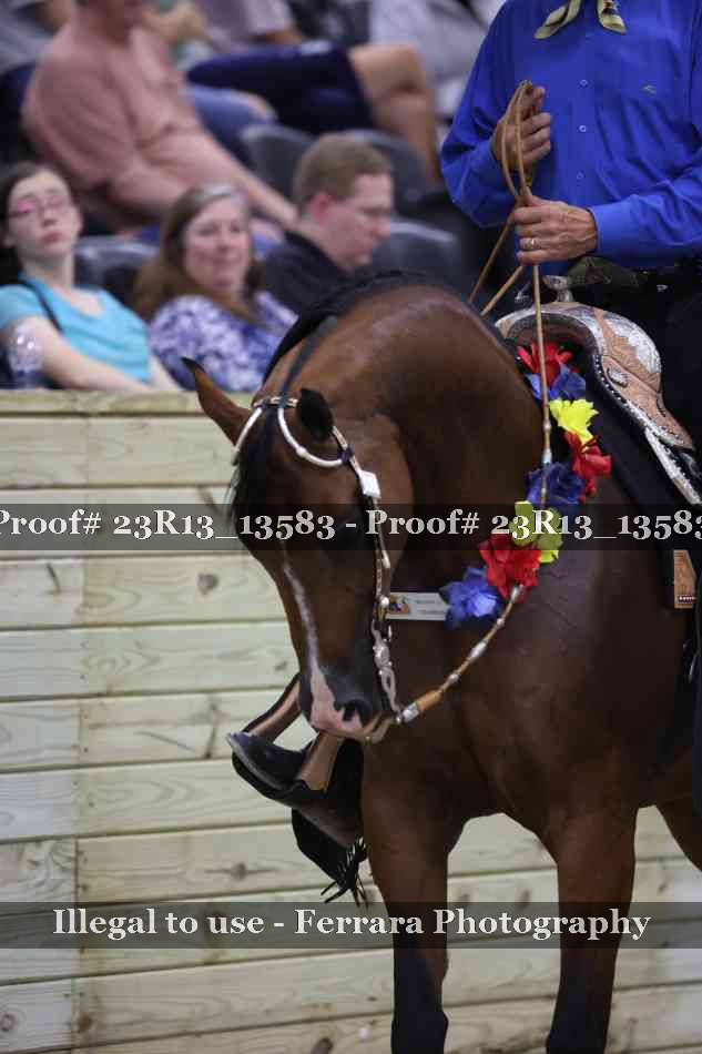 Proof Number 23R13_13583
