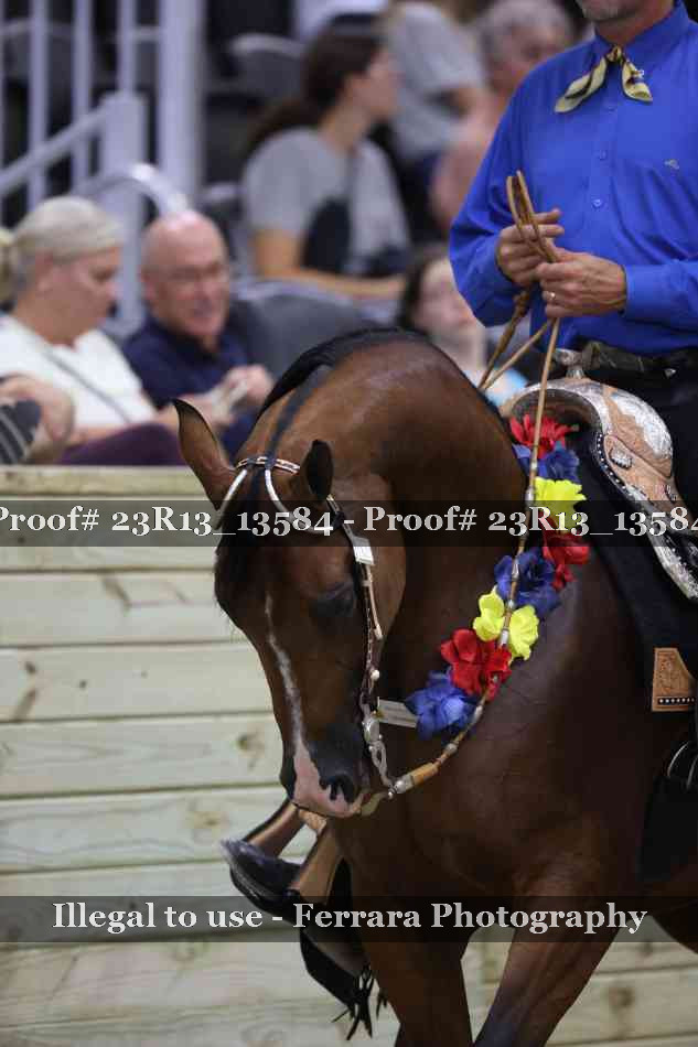 Proof Number 23R13_13584