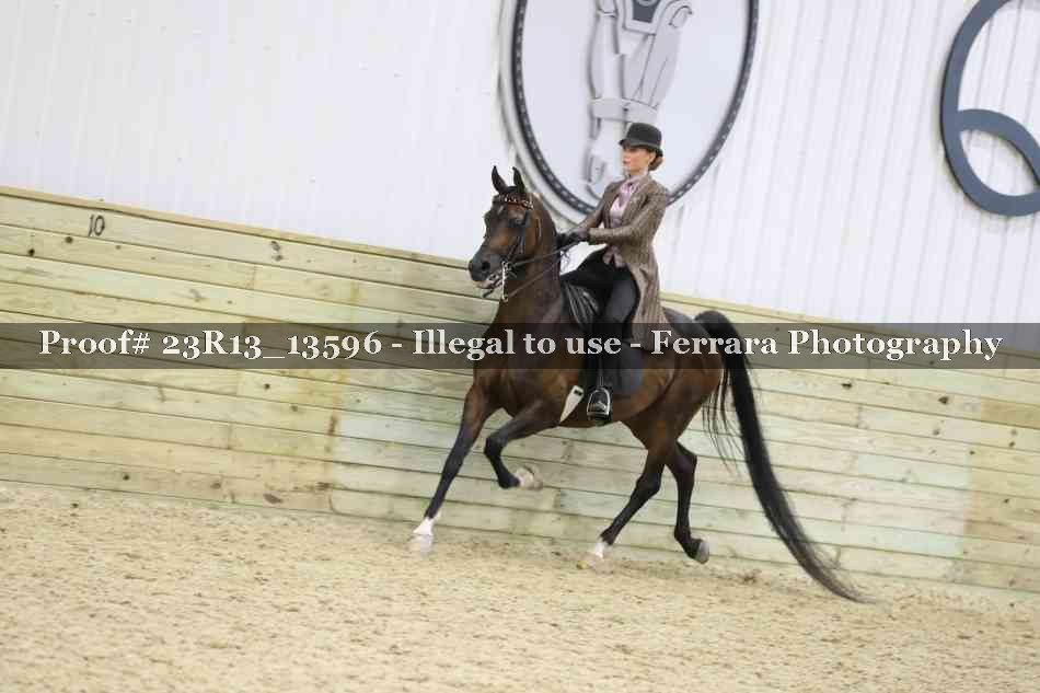 Proof Number 23R13_13596