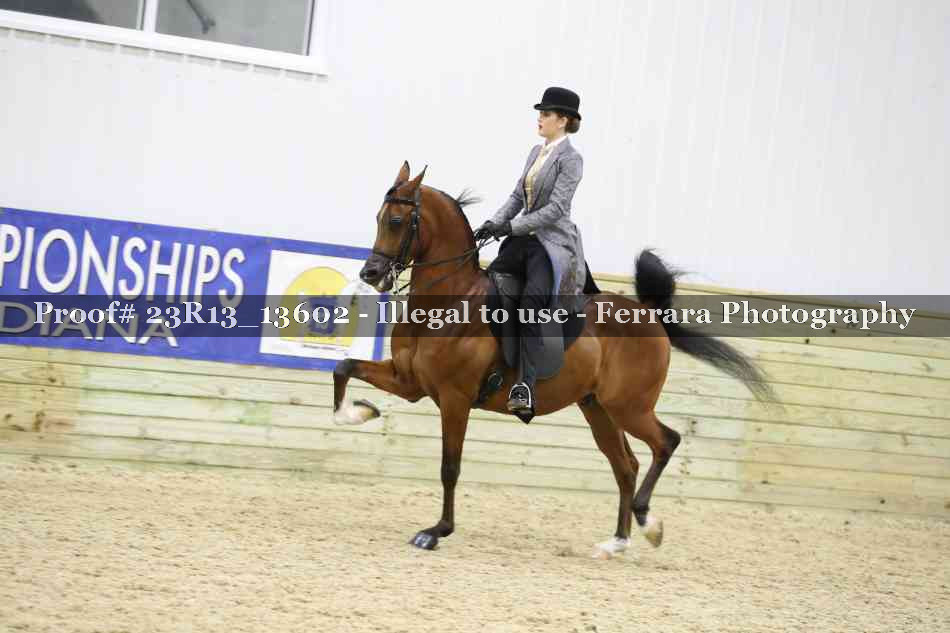 Proof Number 23R13_13602