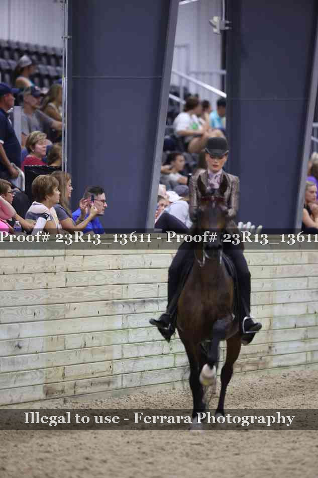 Proof Number 23R13_13611