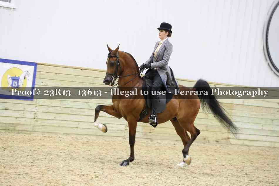 Proof Number 23R13_13613
