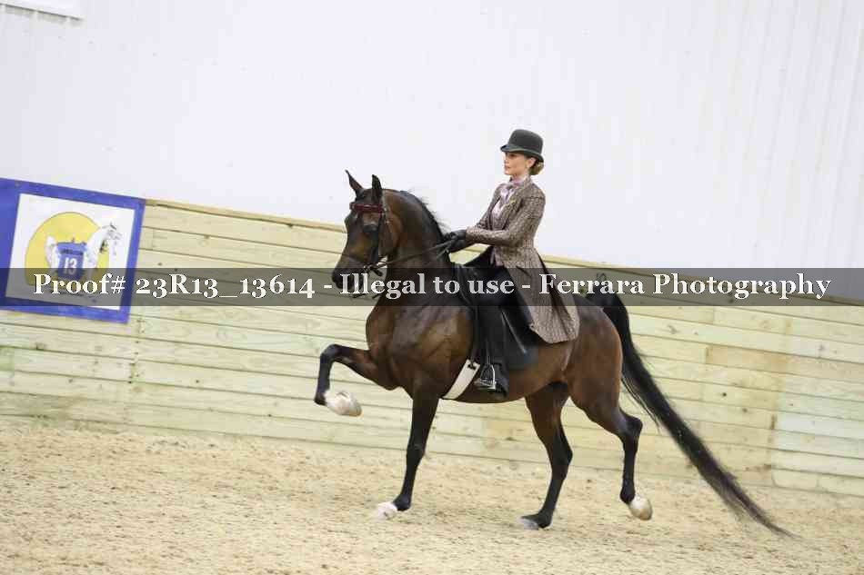 Proof Number 23R13_13614