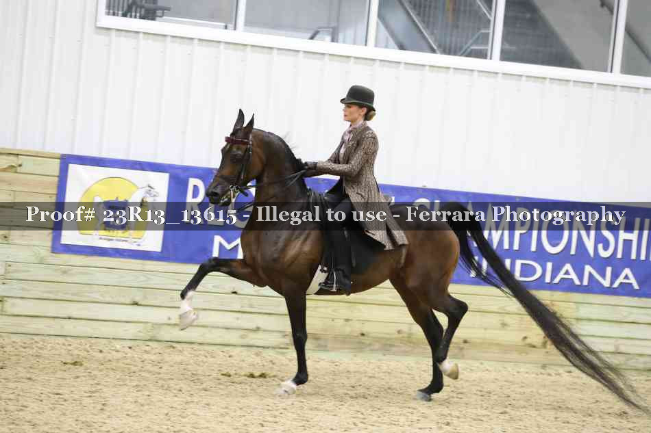 Proof Number 23R13_13615