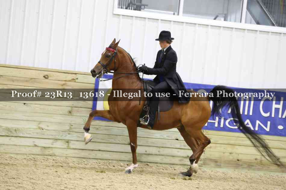 Proof Number 23R13_13618