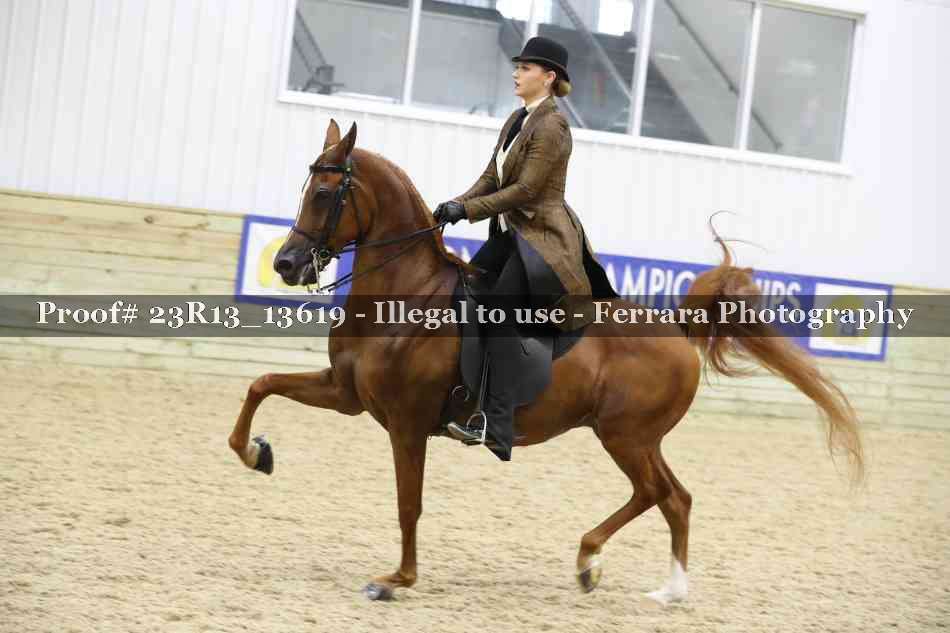Proof Number 23R13_13619
