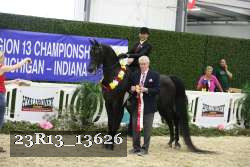 23R13_13626 thumbnail