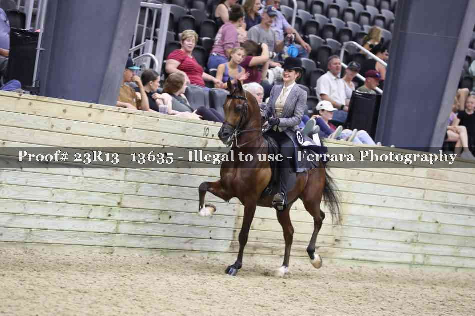 Proof Number 23R13_13635