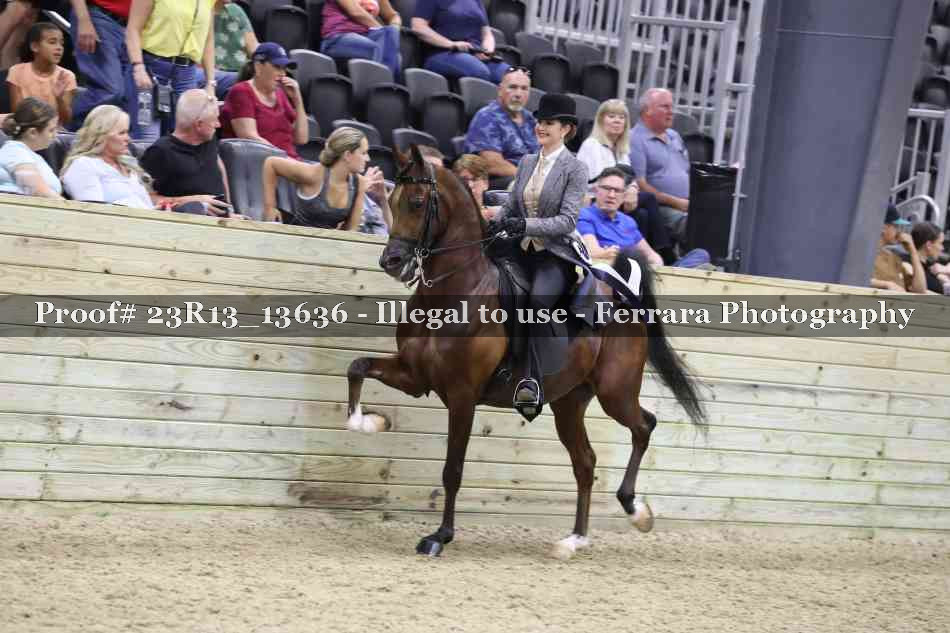 Proof Number 23R13_13636