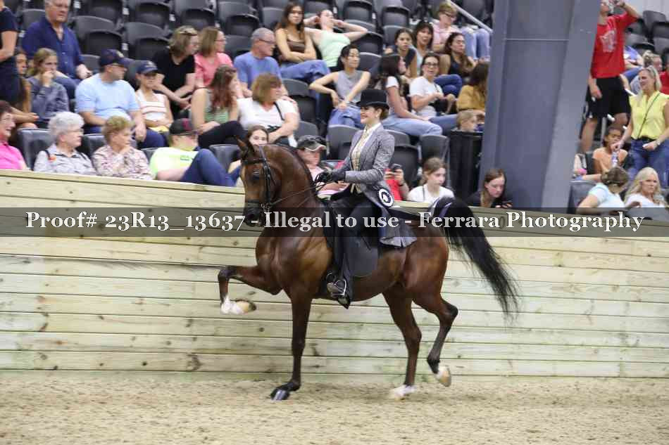 Proof Number 23R13_13637