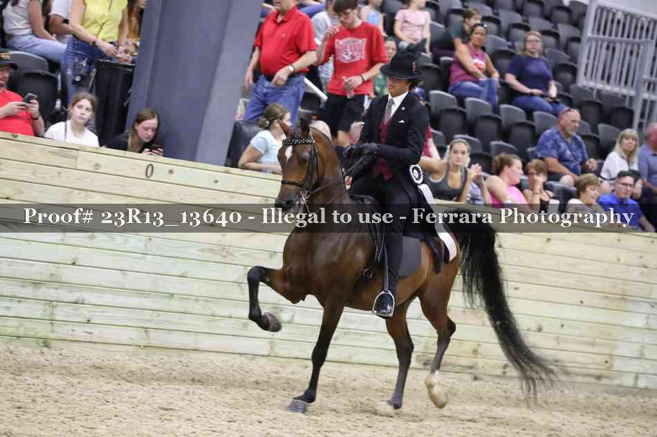 Proof Number 23R13_13640