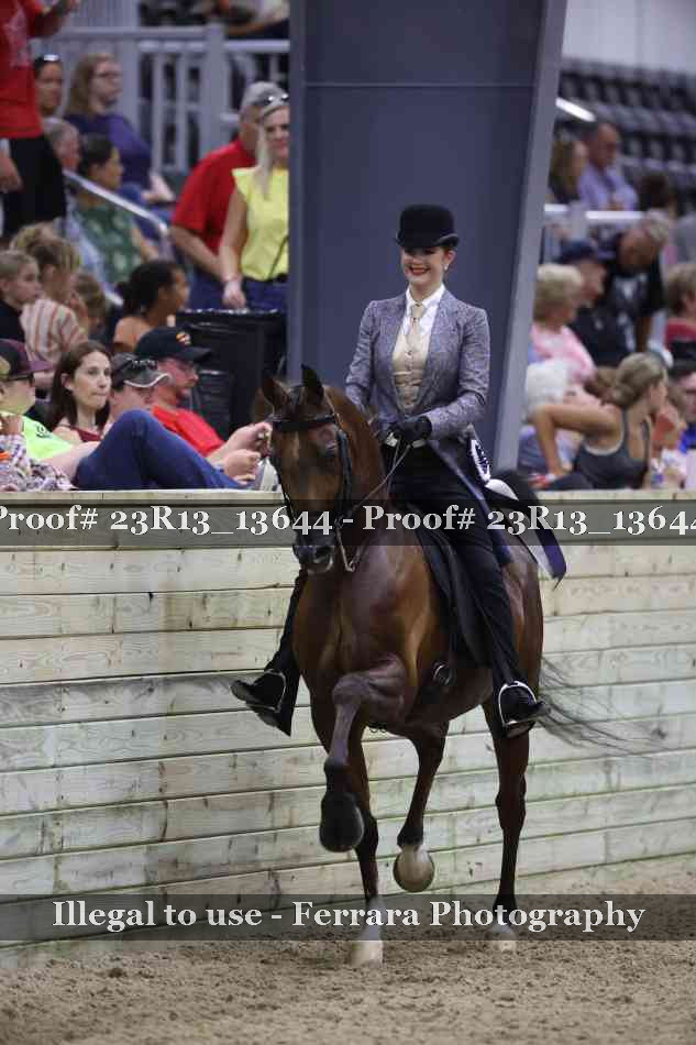 Proof Number 23R13_13644