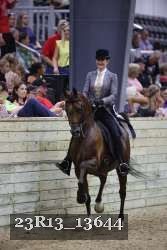 23R13_13644 thumbnail