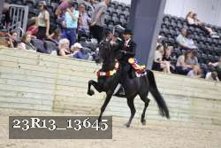23R13_13645 thumbnail