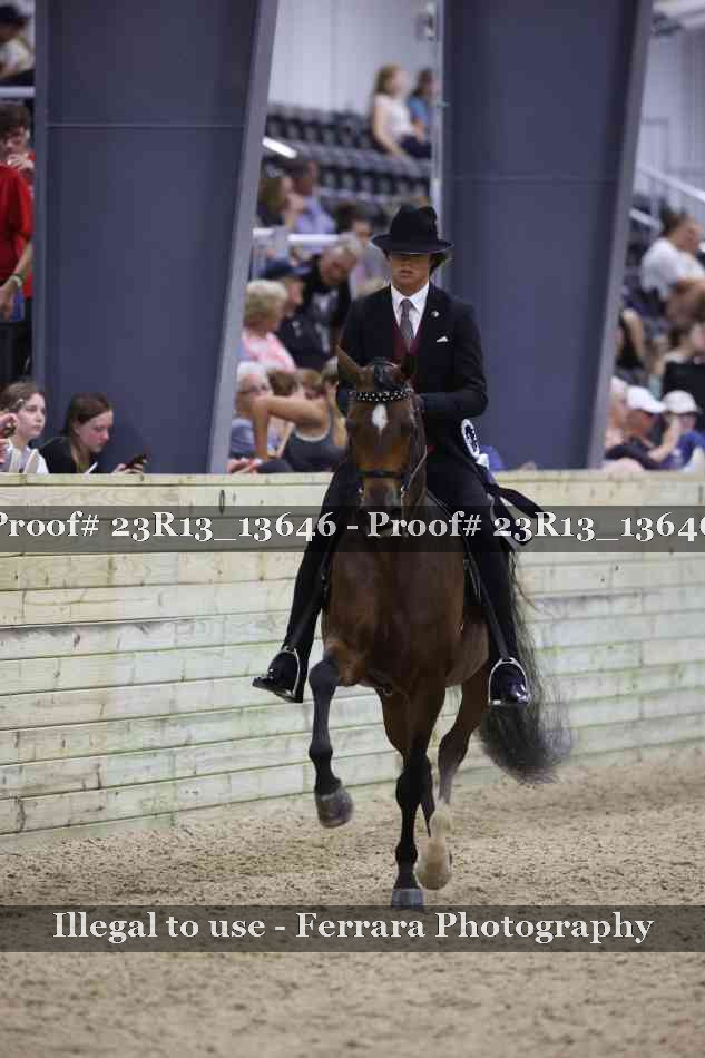 Proof Number 23R13_13646
