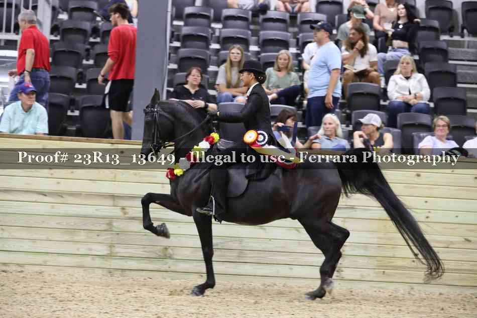 Proof Number 23R13_13649
