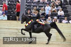 23R13_13649 thumbnail