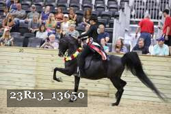 23R13_13650 thumbnail
