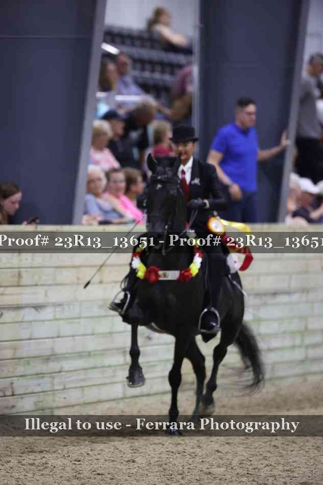 Proof Number 23R13_13651