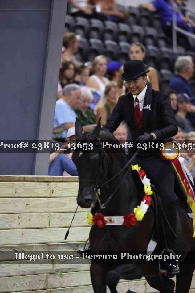 Proof Number 23R13_13653