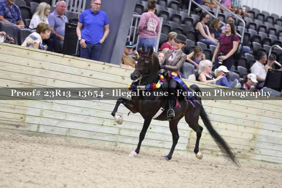 Proof Number 23R13_13654