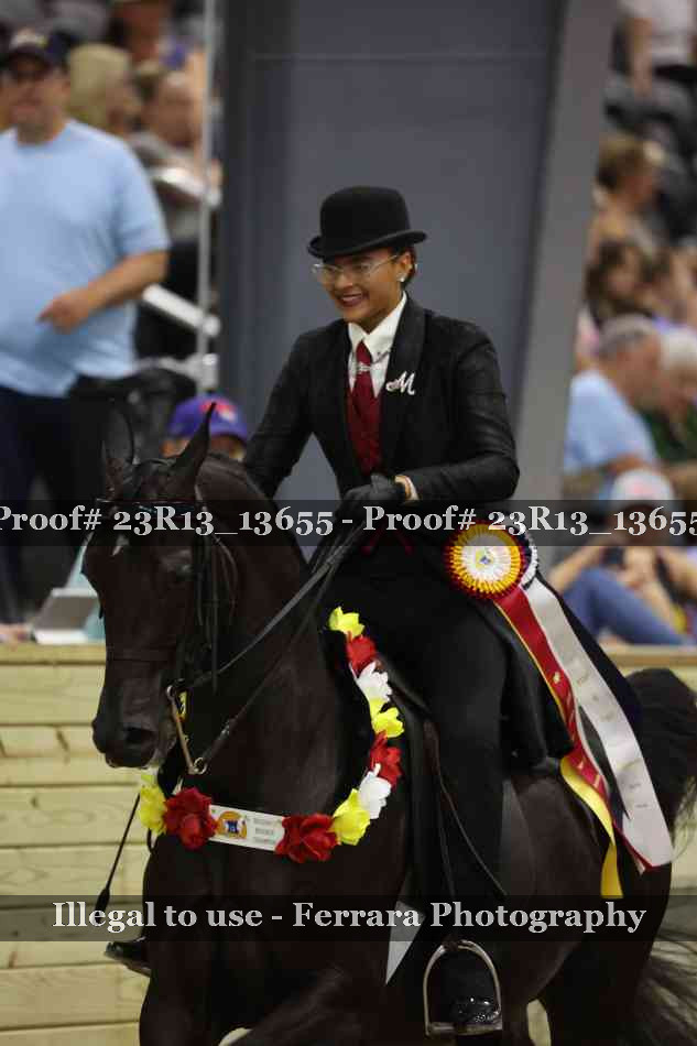 Proof Number 23R13_13655