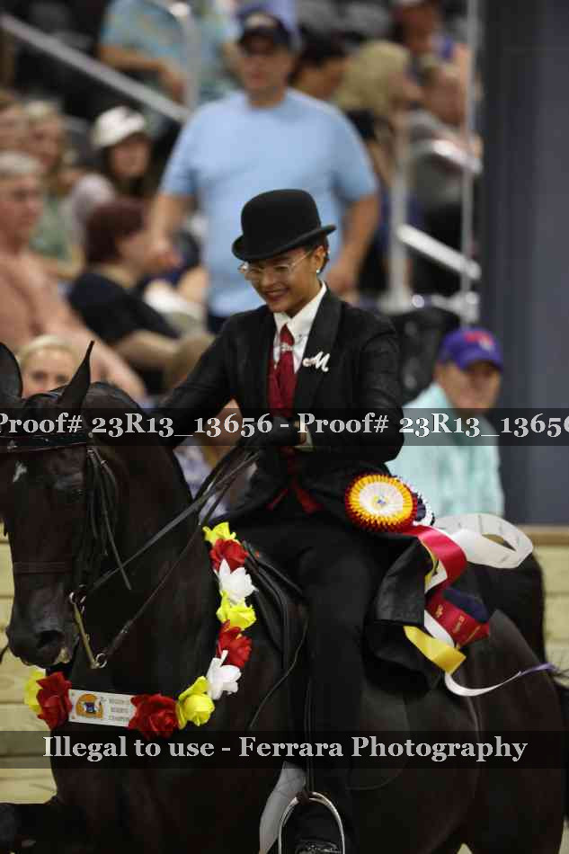 Proof Number 23R13_13656