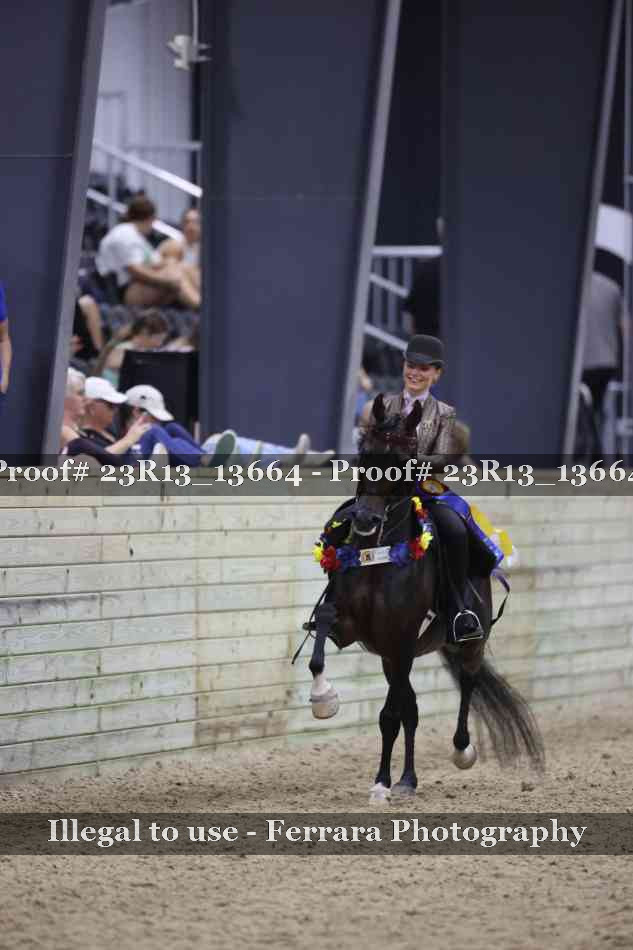 Proof Number 23R13_13664