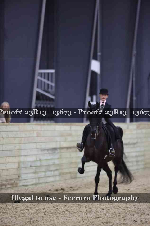 Proof Number 23R13_13673